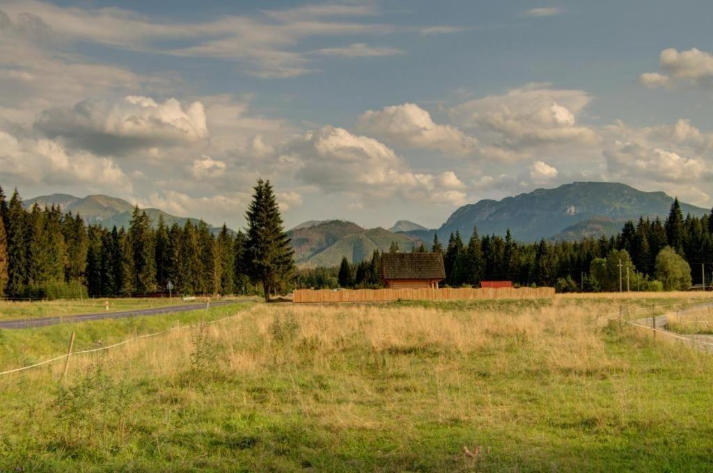 Domek Regionalny Baligowka Witów Exterior foto